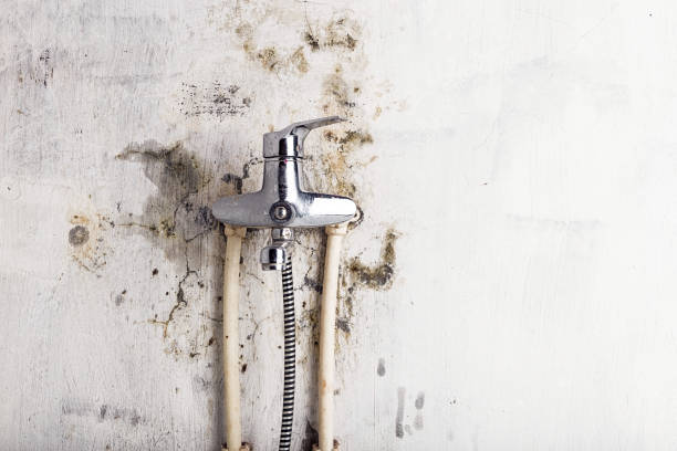 Best Emergency Mold Remediation in Plymouth, MN